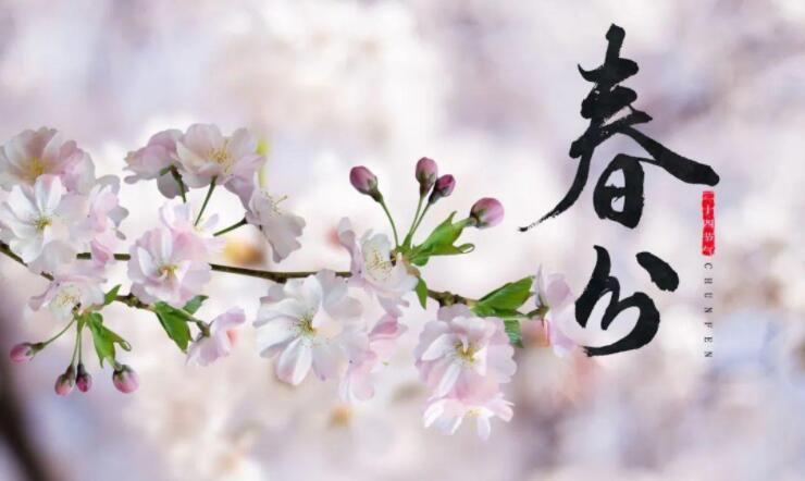【山東桓藝數控】春分 | 生活明朗，萬物可愛